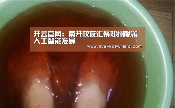 开云官网:南开校友汇聚郑州献策人工智能发展(图1) 开云官网