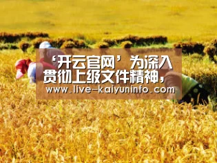 开云体育下载